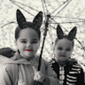 Meet your Posher, Freddie